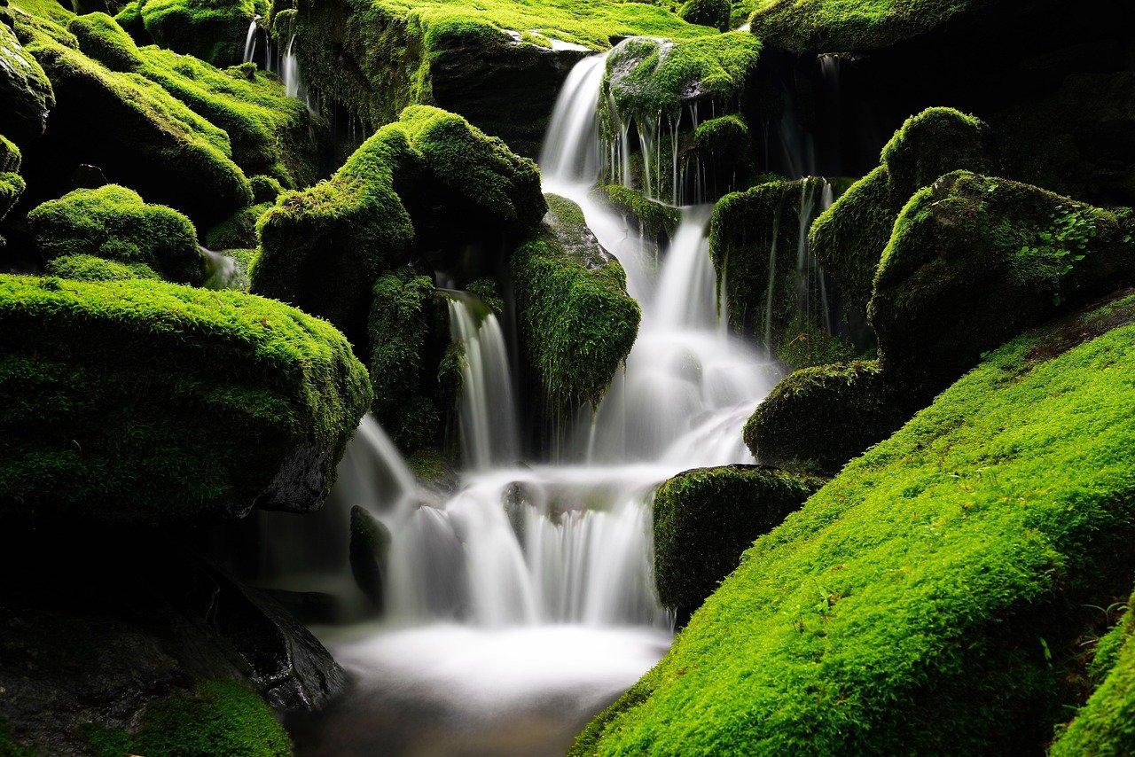 waterfall, moss, korea-5365926.jpg