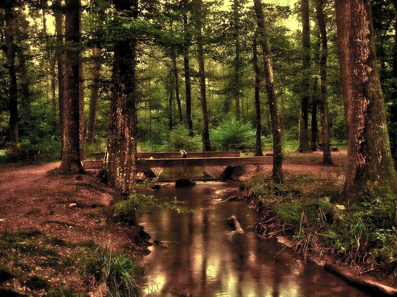 Earth Day