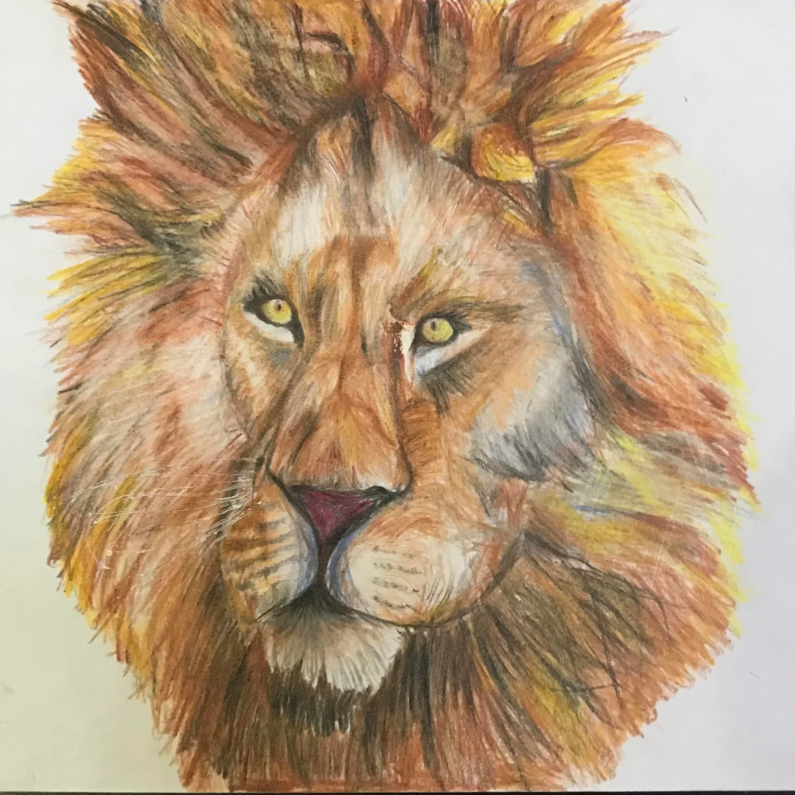 Art work using colour pencils
